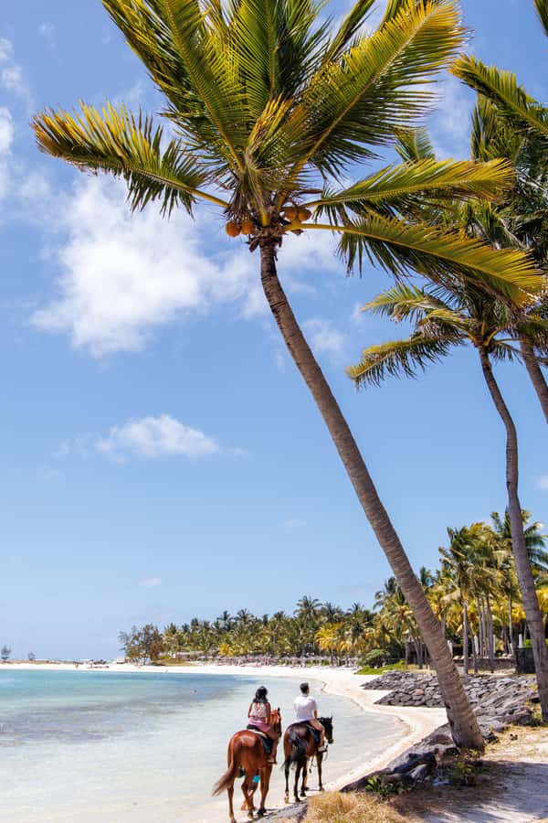 Mauritius: Horseback riding on the beach - How this compares with a typical beach attraction