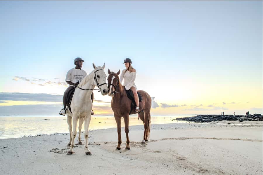 Mauritius: Horseback riding on the beach - Starting at the sanctuary before the saddle