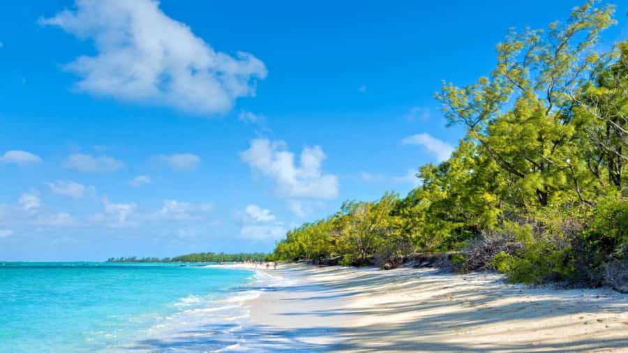 Mauritius: Ile aux Cerf Catamaran w/Waterfall Visit & Lunch - Who will enjoy this catamaran day