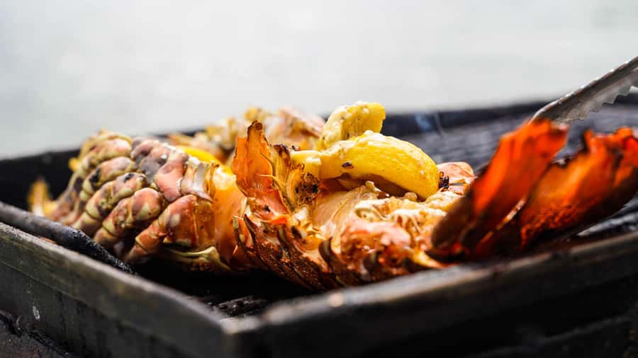 Mauritius: Ile aux Cerfs Boat Tour with BBQ Lunch and Drinks - Who should book this Mauritius boat trip?