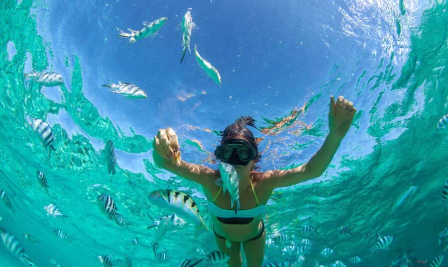 Mauritius: Ile Aux Cerfs Catamaran Trip w/ Lunch & Transfer - What to pack for the day