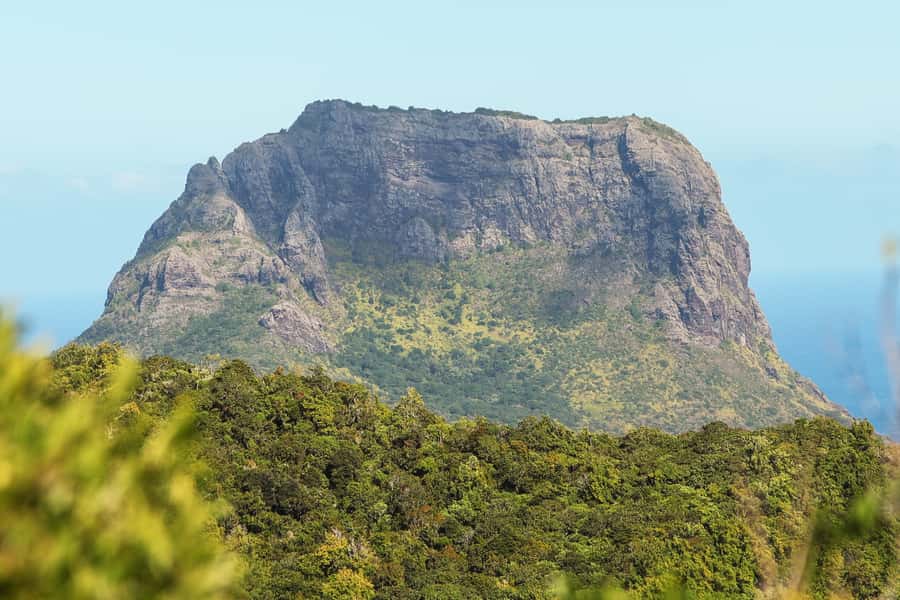 Mauritius: Le Morne Mountain Guided Sunrise Hike and Climb - The rainforest approach and the first test