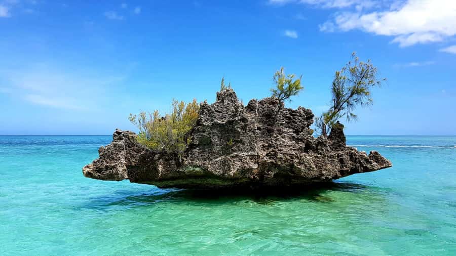 Mauritius: Ocean Swim with Dolphins - The morning begins with breakfast by the beach