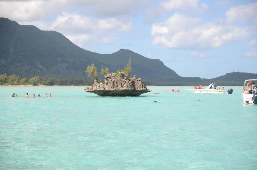 Mauritius: Ocean Swim with Dolphins - Swimming with the dolphins: exciting but not guaranteed