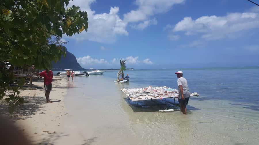 Mauritius: Ocean Swim with Dolphins - Is the $93 price good value?