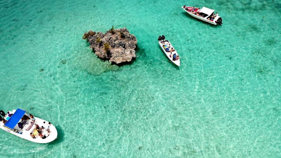 Mauritius: Ocean Swim with Dolphins - Who should book this Mauritius dolphin tour?