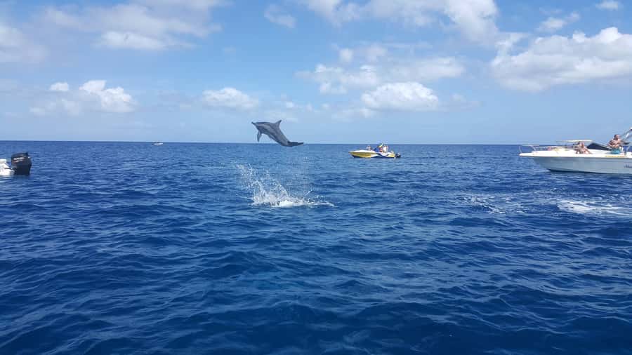 Mauritius: Ocean Swim with Dolphins - The speedboat ride to Black River