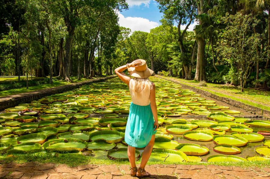 Mauritius: Private Full-Day Iconic Instagram Spots - A full sweep of Mauritius in eight hours