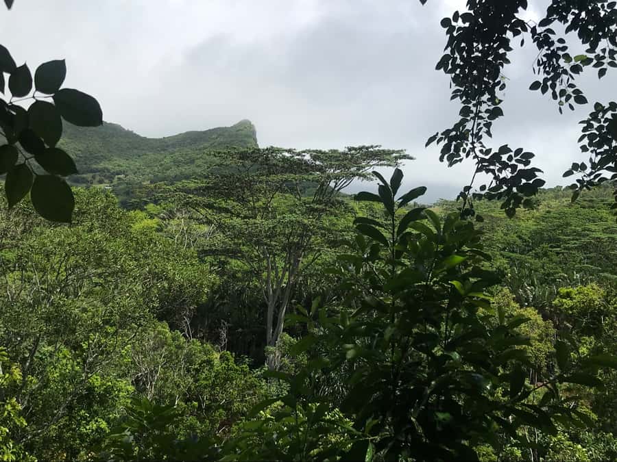 Mauritius: Private Full-Day Iconic Instagram Spots - Who will enjoy this tour most