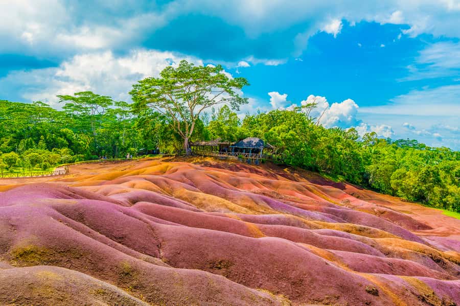 Mauritius: Private Full-Day Iconic Instagram Spots - Umbrella Square and Port Louis color