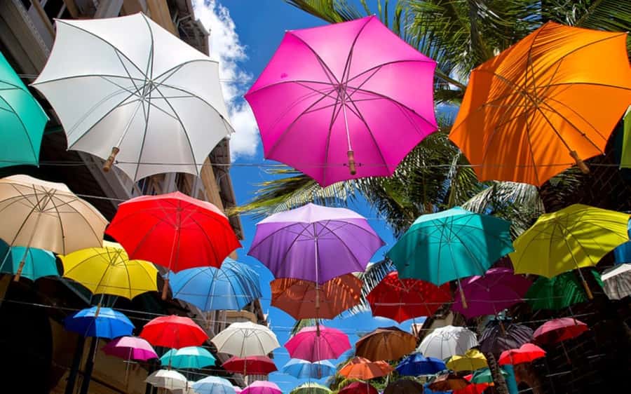 Mauritius: Private Full-Day Iconic Instagram Spots - Why the guide matters more than the title