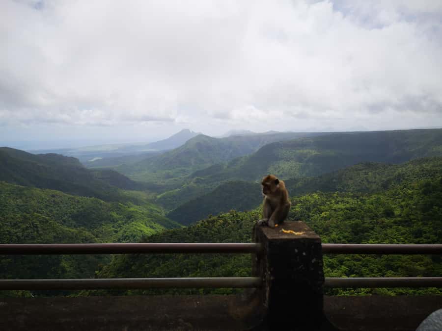 Mauritius: Private South Tour with Pickup - Why this private south tour works well