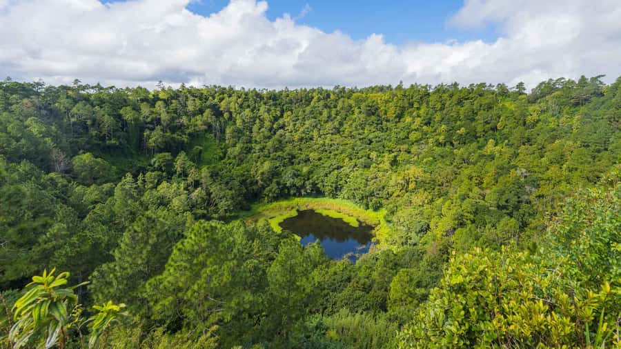 Mauritius: Private South Tour with Pickup - Waterfalls and the Black River Gorges interior