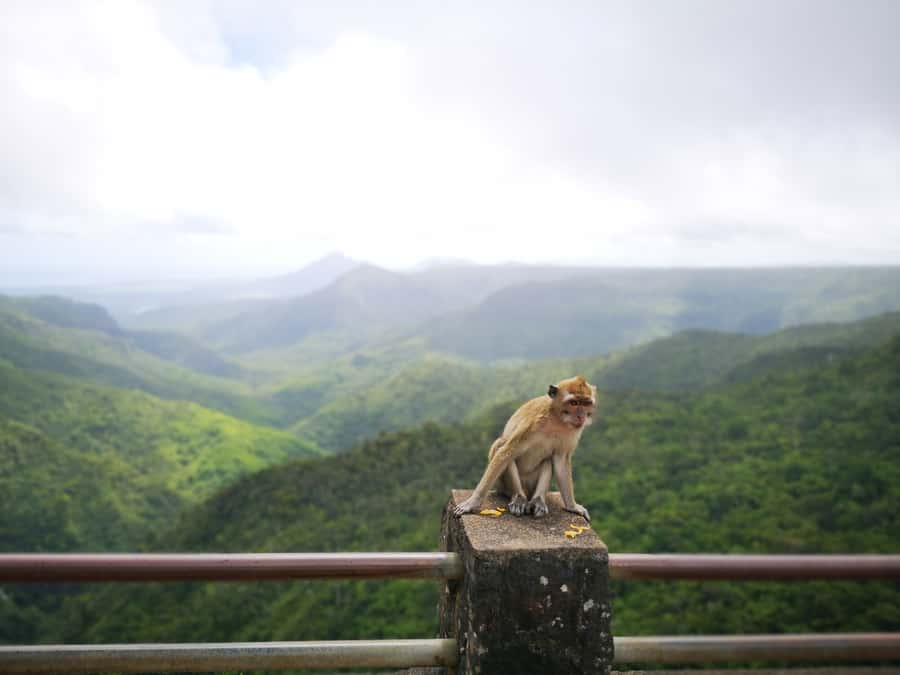 Mauritius: Private South Tour with Pickup - Should you book it?