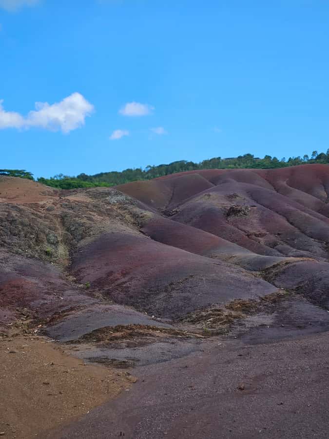 Mauritius: Private Southwest Chamarel Highlights Tour - Alexandra Falls and the Black River Gorges
