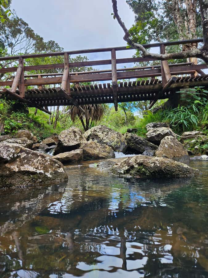 Mauritius: Private Southwest Chamarel Highlights Tour - Chamarel’s coloured earth and waterfall