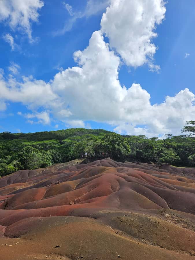 Mauritius: Private Southwest Chamarel Highlights Tour - Should you add the Chamarel rum stop?