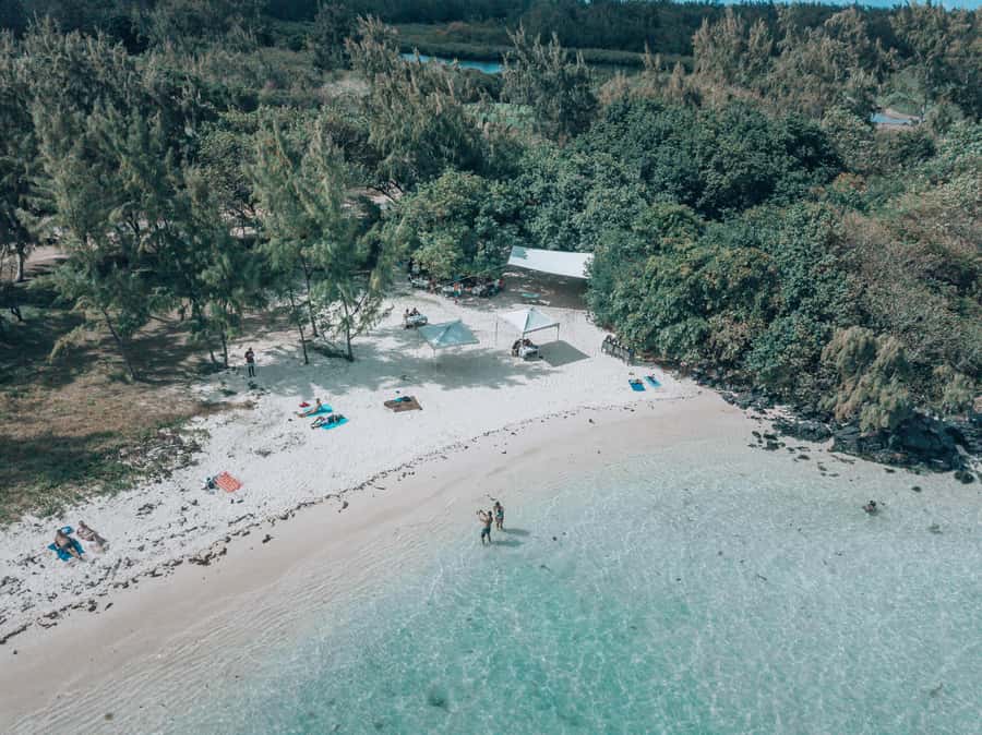Mauritius: Speedboat Tour to Ile aux Cerfs with Lunch - Why this east-coast boat trip works