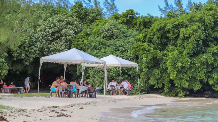 Mauritius: Speedboat Tour to Ile aux Cerfs with Lunch - Passing the Grande Rivière South East waterfall