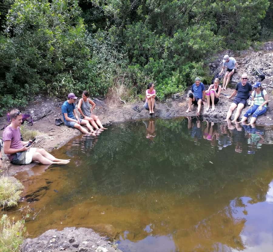 Mauritius: Tamarind Falls Guided Hike with Swim and Lunch - Lunch with a view and a local touch