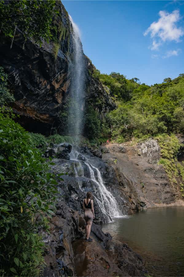 Mauritius: Tamarind Falls Highlights 3-Hour Hiking Trip - What the guide adds for about $58
