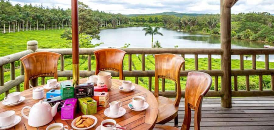 Mauritius: Tea and Sugar Plantation Guided Tour with Lunch - Why this tour gives Mauritius a fuller story