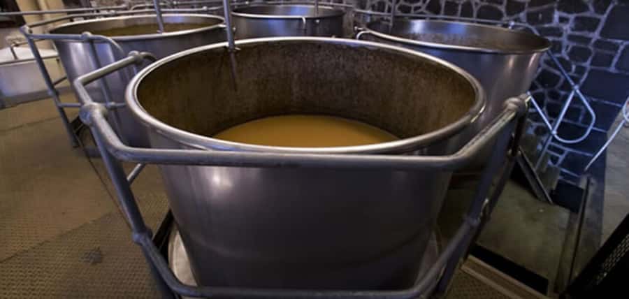Mauritius: Tea and Sugar Plantation Guided Tour with Lunch - Booking advice before you commit