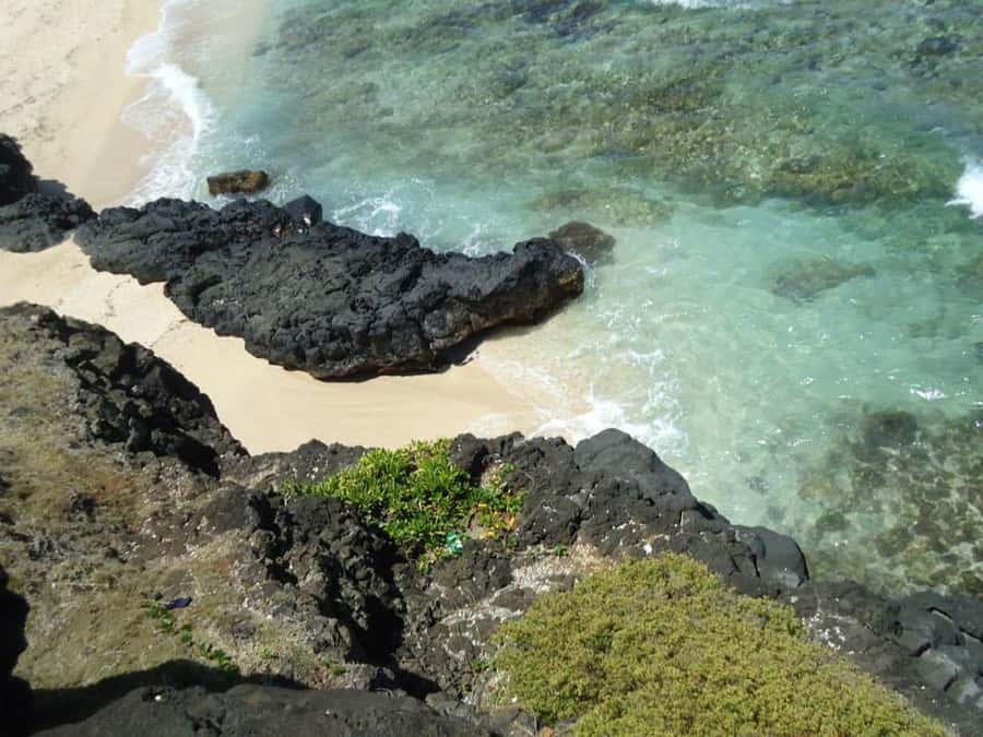 Mauritius: Vanilla Park & Beaches Tour with Extra Option - Key points to know before you book