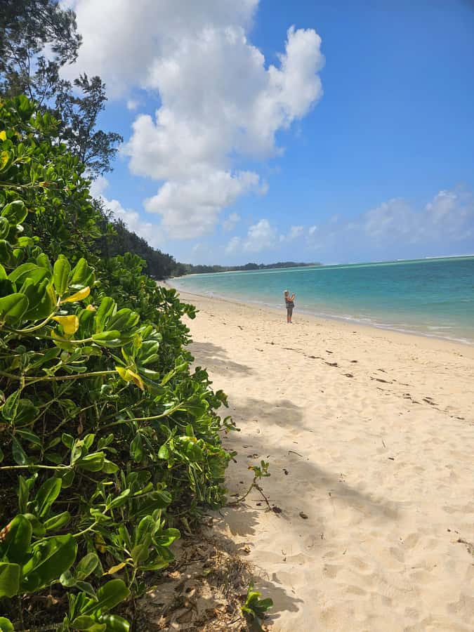 Mauritius: Vanilla Park & Beaches Tour with Extra Option - Gris Gris Beach and the rugged south coast