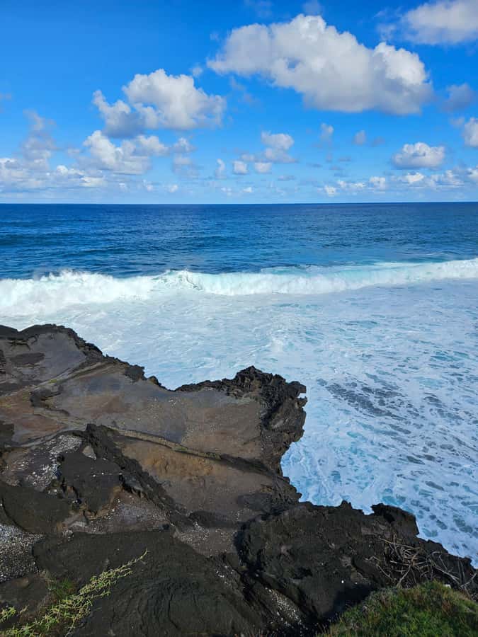Mauritius: Vanilla Park & Beaches Tour with Extra Option - Is $135 good value for up to three people?