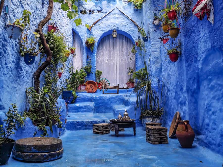 Memorable Day Trip From Fez to Chefchaouen the Blue City - Key points before you book