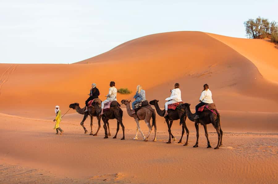 Merzouga: 1-Night in Desert Camp With Dinner & camel ride - What the guides add to the experience