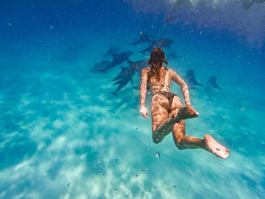 Mnemba Island: Dolphin Swim & Snorkeling with Optional Lunch - The dolphin search near Mnemba Island