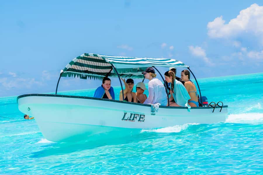 Mnemba Island: Dolphin Swim & Snorkeling with Optional Lunch - White sand, shallow water, and the fruit stop