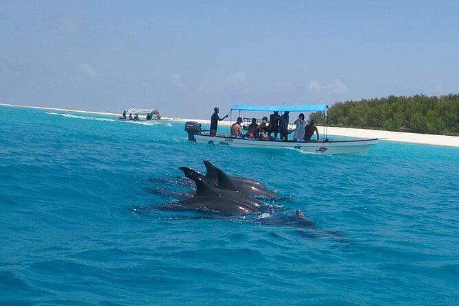 Mnemba Island snorkeling and Swimming with Dolphin - Practical details that make the morning easier