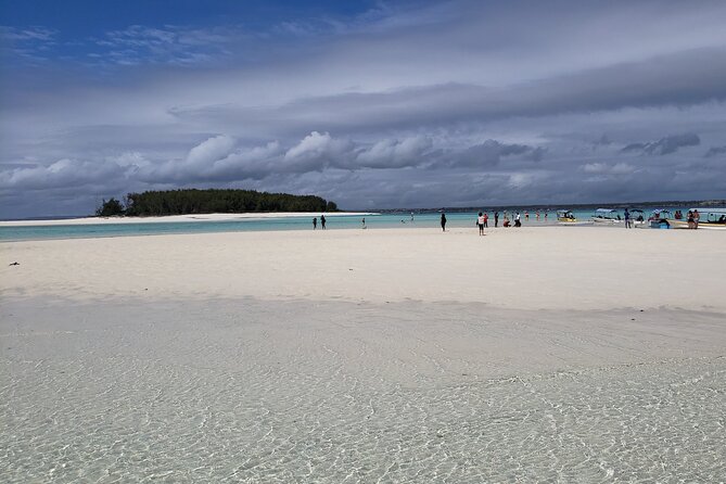 Mnemba Island snorkeling and Swimming with Dolphin - Should you book the Mnemba dolphin and snorkeling trip?