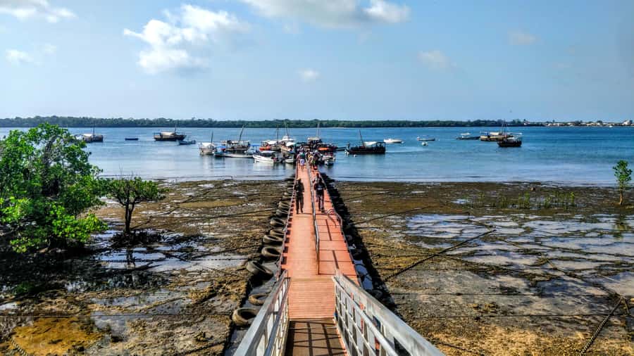 Mombasa: Kisite Park Private Cruise with Breakfast and Lunch - Key points to know before booking
