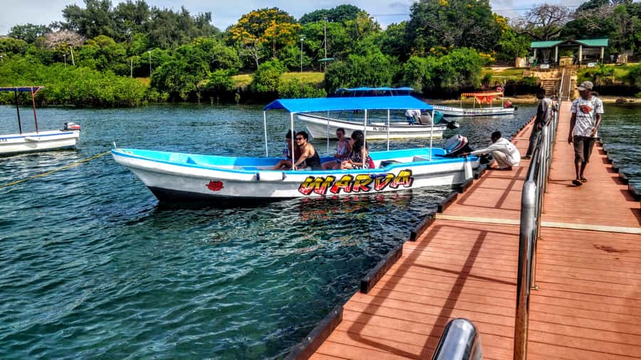Mombasa: Kisite Park Private Cruise with Breakfast and Lunch - What the $163 price really covers