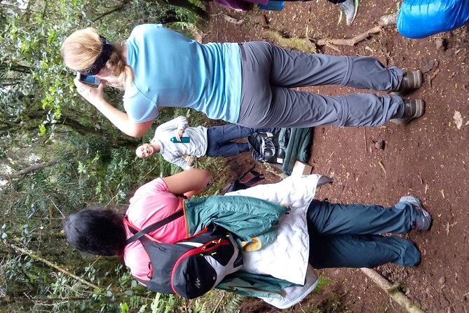 Mountain Kilimanjaro Day Hike - What this Kilimanjaro day hike really offers