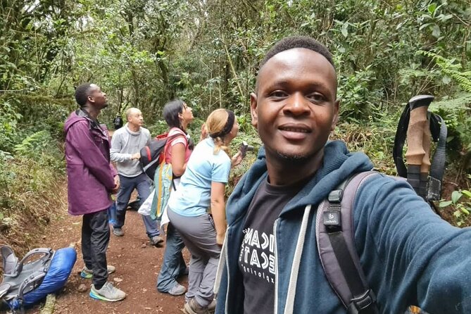 Mountain Kilimanjaro Day Hike - Guides, pacing, and the private format