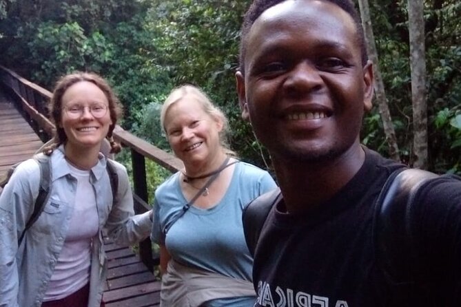 Mountain Kilimanjaro Day Hike - Who should book this hike?