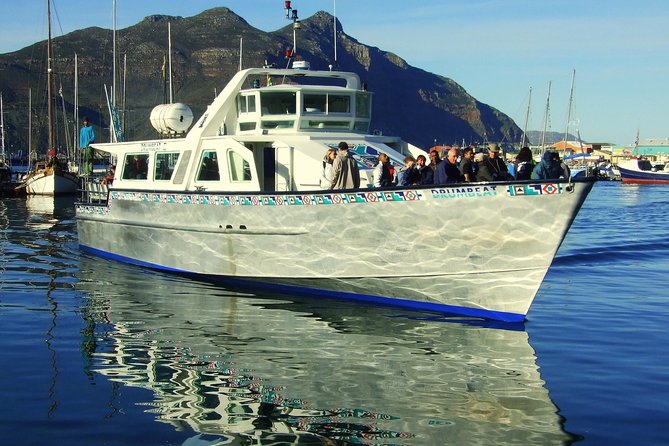 MUST DO: Boulders Beach & Cape Point Full Day Tour #1 Rated - Boulders Beach and the African penguins
