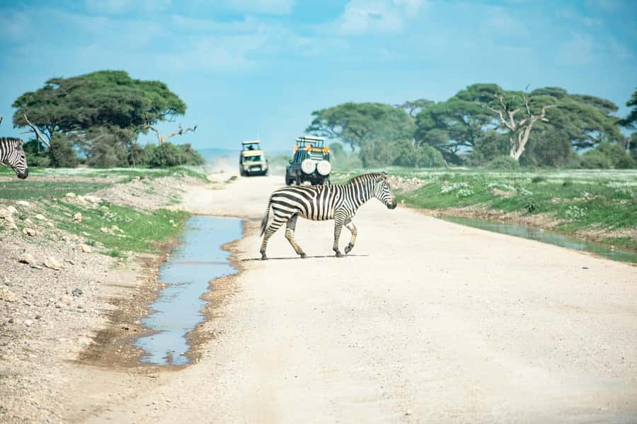 Nairobi: Day Tour to Amboseli National Park & Maasai Village - Lunch: useful rest, uneven value