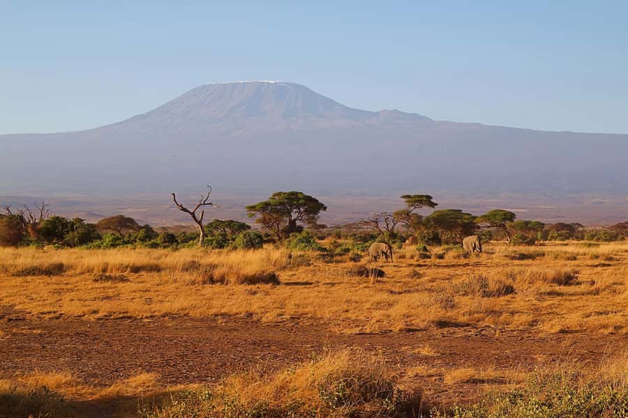 Nairobi: Day Tour to Amboseli National Park & Maasai Village - Who should book this day trip