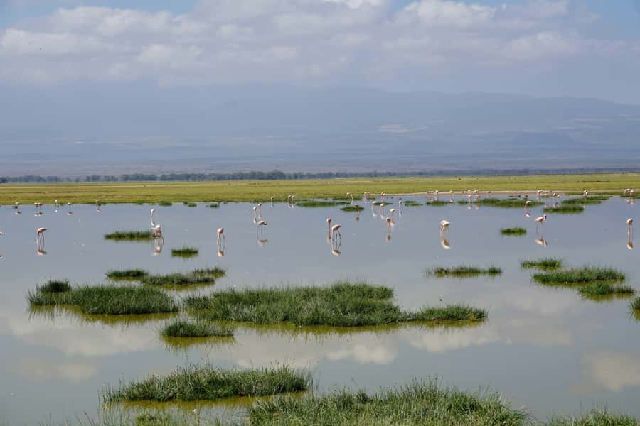 Nairobi: Day Tour to Amboseli National Park & Maasai Village - The early road from Nairobi