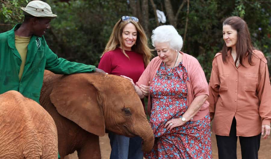 Nairobi: Elephant Sanctuary and Giraffe Center Day Tour - The drive through Nairobi to the elephant sanctuary