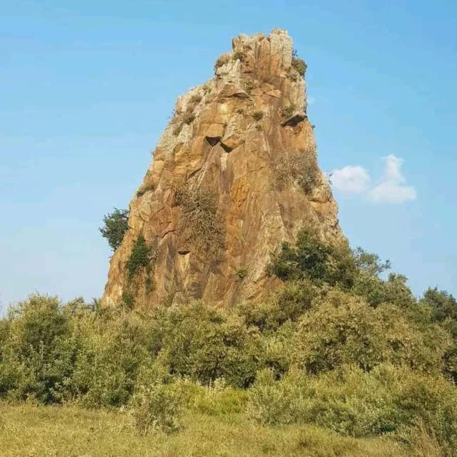 Nairobi: Hell's Gate National Park and Lake Naivasha Tour - Why this Nairobi day trip works