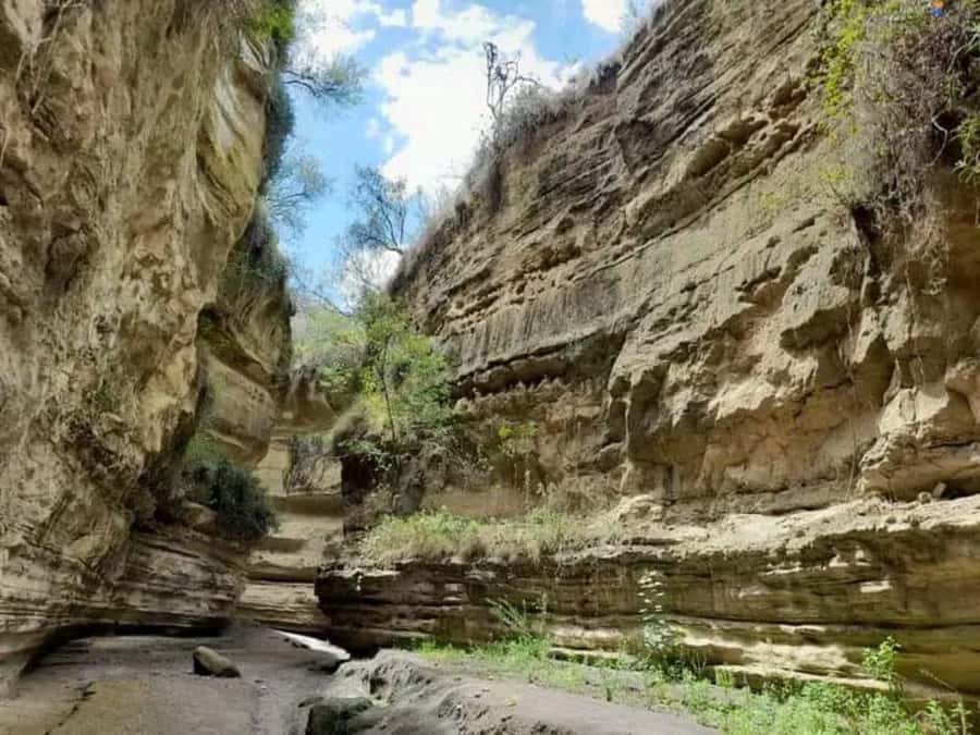Nairobi: Hell's Gate National Park and Lake Naivasha Tour - The drive from Nairobi to the Great Rift Valley