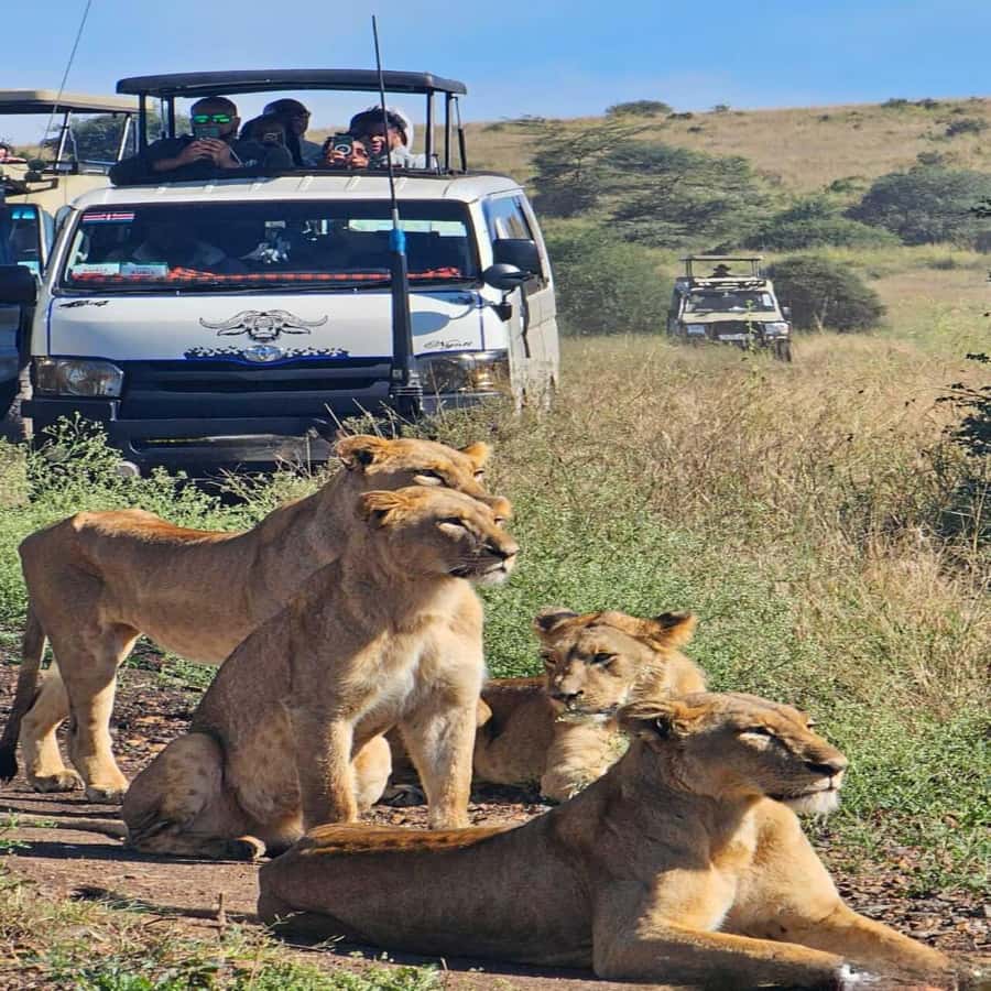 Nairobi National Park 5-hour Guided Game Drive Free Pick up - Five hours among Nairobi’s wildlife