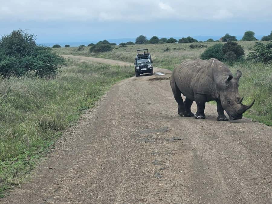 Nairobi: National Park, Elephant Orphanage & Giraffe Center - The best parts of the day at a glance